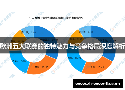 欧洲五大联赛的独特魅力与竞争格局深度解析
