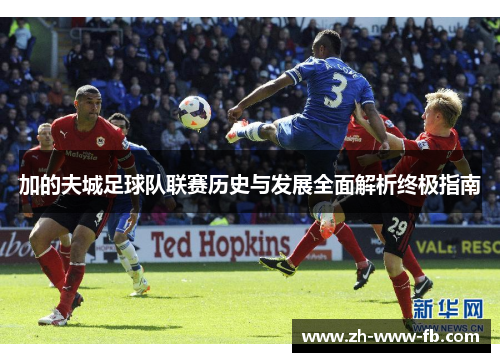 加的夫城足球队联赛历史与发展全面解析终极指南 加的夫城足球队联赛历史与发展全面解析终极指南