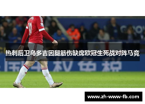 热刺后卫乌多吉因腿筋伤缺席欧冠生死战对阵马竞