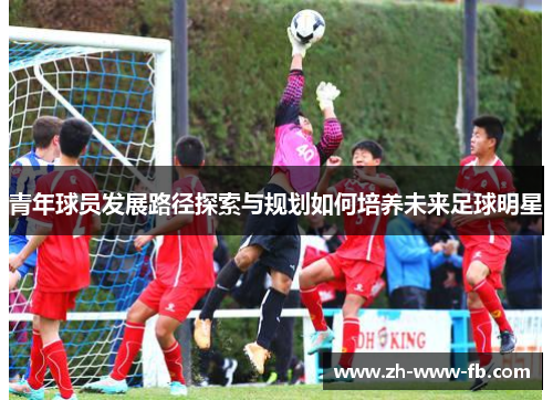 青年球员发展路径探索与规划如何培养未来足球明星