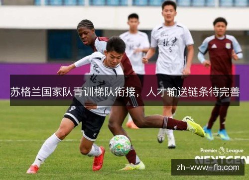 苏格兰国家队青训梯队衔接，人才输送链条待完善